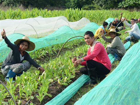 largest pasture in the ph the manila times|Agribusiness .